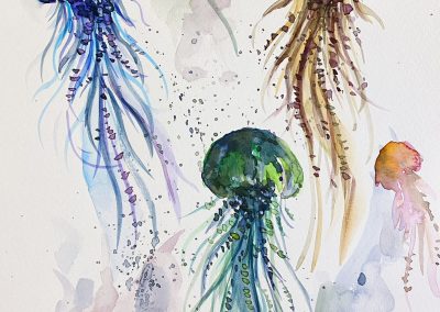 Jellyfishes - Student Work
